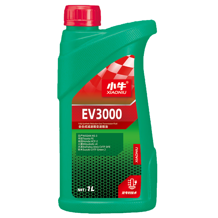 EV3000