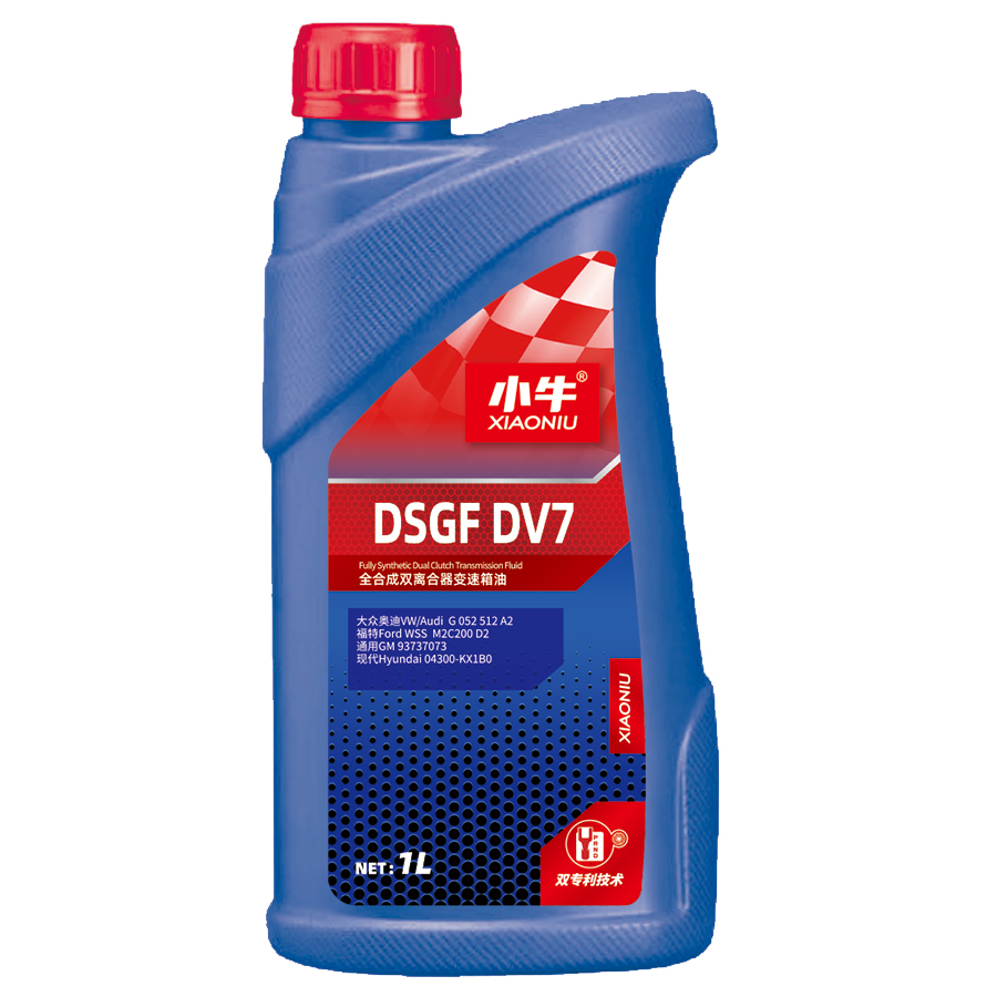 DSGF DV7